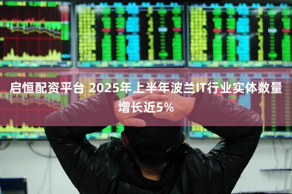 启恒配资平台 2025年上半年波兰IT行业实体数量增长近5%