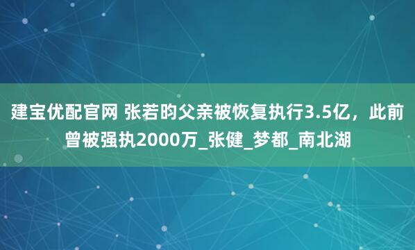 建宝优配官网 张若昀父亲被恢复执行3.5亿,此前曾被强执2000万_张健_梦都_南北湖