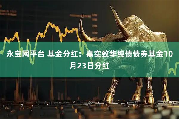 永宝网平台 基金分红:嘉实致华纯债债券基金10月23日分红