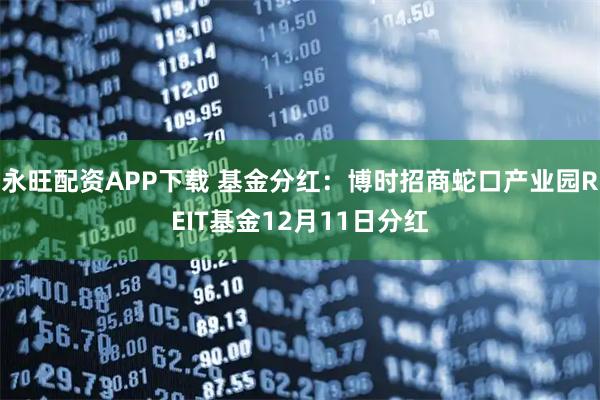永旺配资APP下载 基金分红：博时招商蛇口产业园REIT基金12月11日分红