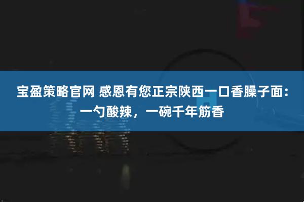 宝盈策略官网 感恩有您正宗陕西一口香臊子面：一勺酸辣，一碗千年筋香