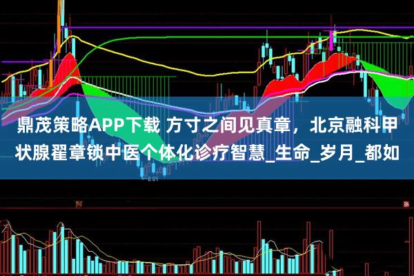 鼎茂策略APP下载 方寸之间见真章，北京融科甲状腺翟章锁中医个体化诊疗智慧_生命_岁月_都如