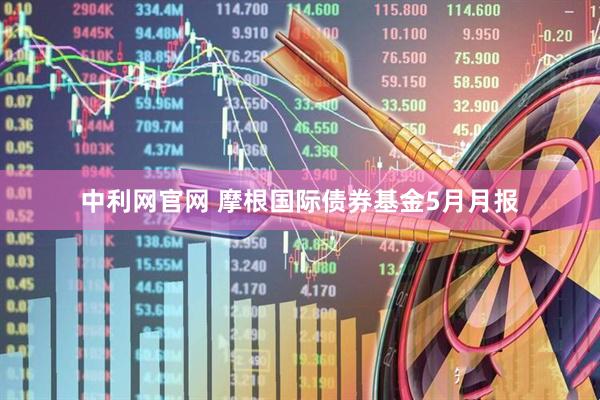 中利网官网 摩根国际债券基金5月月报