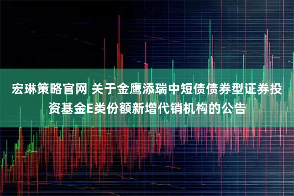 宏琳策略官网 关于金鹰添瑞中短债债券型证券投资基金E类份额新增代销机构的公告