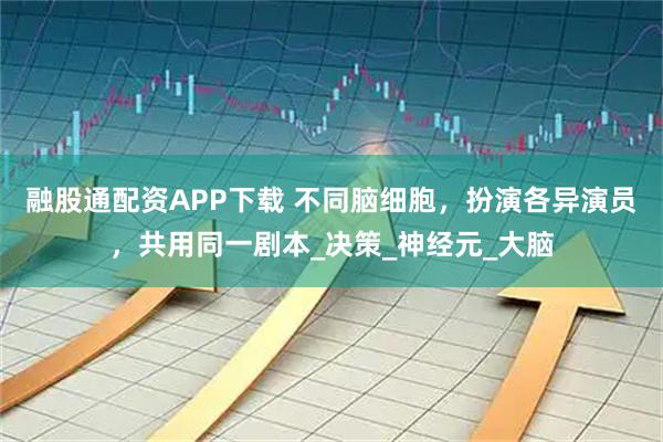 融股通配资APP下载 不同脑细胞，扮演各异演员，共用同一剧本_决策_神经元_大脑