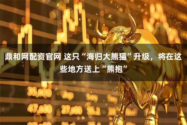 鼎和网配资官网 这只“海归大熊猫”升级，将在这些地方送上“熊抱”