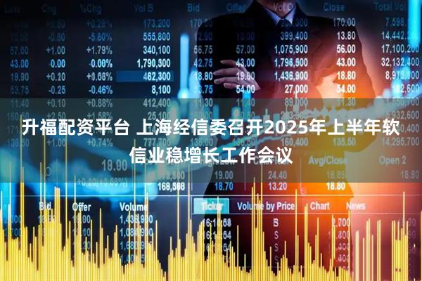 升福配资平台 上海经信委召开2025年上半年软信业稳增长工作会议