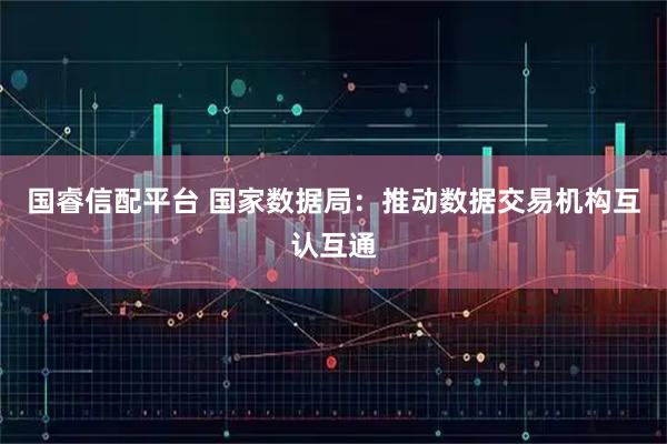 国睿信配平台 国家数据局：推动数据交易机构互认互通