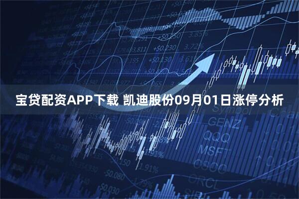 宝贷配资APP下载 凯迪股份09月01日涨停分析